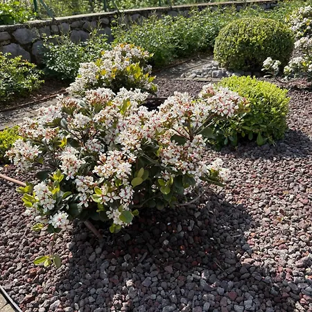 فندق مبيت وإفطار Iris Mošćenička Draga