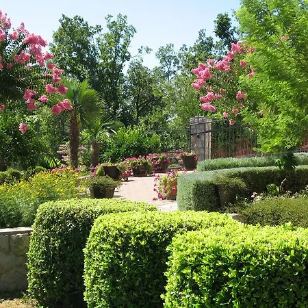 Iris לינה וארוחת בוקר