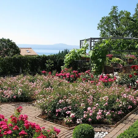 Iris לינה וארוחת בוקר