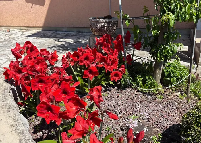 Panzió Iris Mošćenička Draga