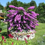 Frühstückspension Iris Mošćenička Draga