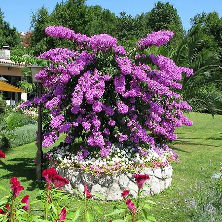 Frühstückspension Iris Mošćenička Draga