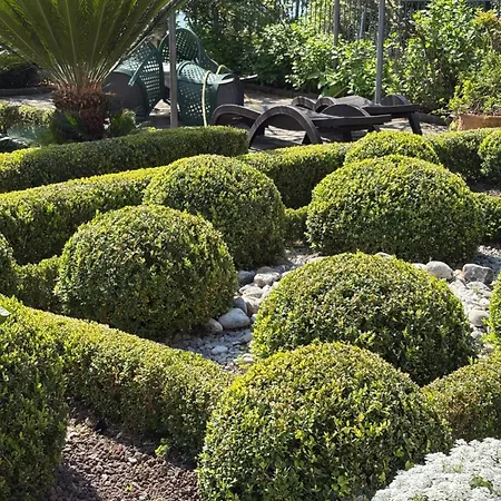 Iris Mošćenička Draga