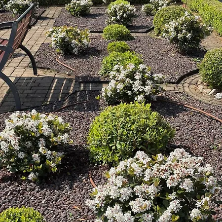 Bed & Breakfast Iris