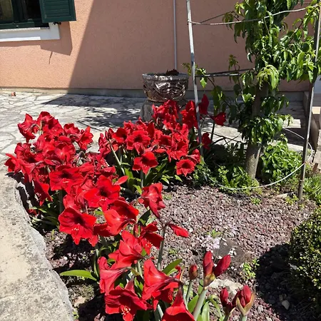 Frühstückspension Iris Mošćenička Draga