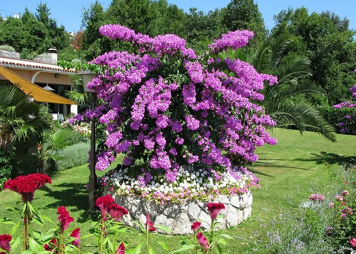 Bed & Breakfast Iris Mošćenička Draga