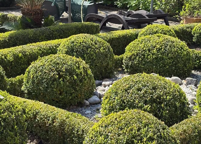 Iris Mošćenička Draga