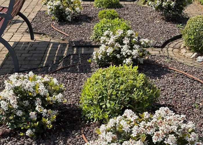 Bed & Breakfast Iris